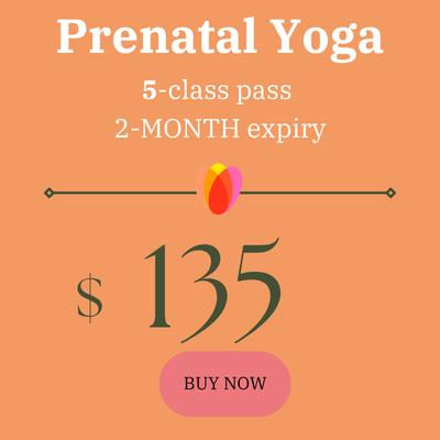 Prenatal-5